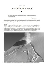 Load image into Gallery viewer, Staying Alive in Avalanche Terrain - 3rd Edition - by Bruce Tremper - Climb Source