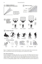 Load image into Gallery viewer, Staying Alive in Avalanche Terrain - 3rd Edition - by Bruce Tremper - Climb Source