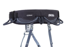 Load image into Gallery viewer, Petzl - Corax - Climbing Harness