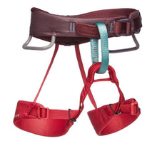 Load image into Gallery viewer, Black Diamond - Momentum Kid's - Climbing Harness - Wild Rose - Climb Source