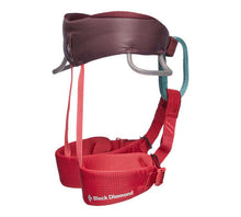 Load image into Gallery viewer, Black Diamond - Momentum Kid's - Climbing Harness - Wild Rose - Climb Source