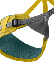 Load image into Gallery viewer, Past Season - Edelrid - Jay III Harness - Wasabi - Sport - Top Rope