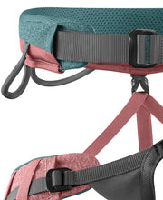 Load image into Gallery viewer, Past Season - Edelrid - Jayne III Harness
