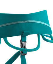 Load image into Gallery viewer, Edelrid - Autana - Climbing Harness - Climb Source