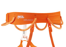 Load image into Gallery viewer, Petzl - Hirundos - Rock Climbing - Top-rope - Sport - Trad