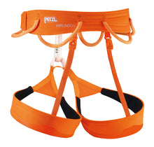 Load image into Gallery viewer, Petzl - Hirundos - Rock Climbing - Top-rope - Sport - Trad