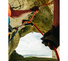 Load image into Gallery viewer, Black Diamond: ATC-Pilot - Belay Device - Climb Source