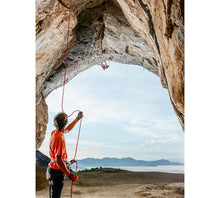Load image into Gallery viewer, Black Diamond: ATC-Pilot - Belay Device - Climb Source
