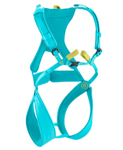 Load image into Gallery viewer, Edelrid - Fraggle Harness - Kids - Climb Source