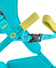 Load image into Gallery viewer, Edelrid - Fraggle Harness - Kids - Climb Source