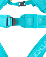 Load image into Gallery viewer, Edelrid - Fraggle Harness - Kids - Climb Source