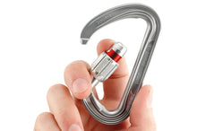 Load image into Gallery viewer, Petzl - Spirit Screw-Lock - Carabiner - Climb Source