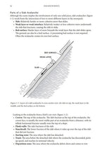 Load image into Gallery viewer, Staying Alive in Avalanche Terrain - 3rd Edition - by Bruce Tremper - Climb Source
