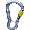 Black Diamond - GridLock Screwgate - Carabiner - Gray - 1003 - Climb Source