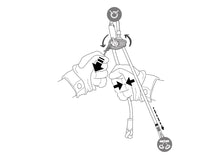 Load image into Gallery viewer, Petzl - Dual Connect Adjust - Climb Source
