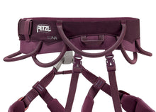 Load image into Gallery viewer, Petzl - Luna - Climbing Harness

