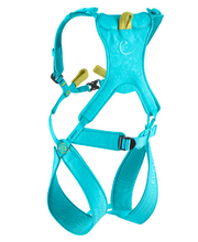 Load image into Gallery viewer, Edelrid - Fraggle Harness - Kids - Climb Source
